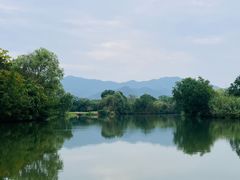 -西溪国家湿地公园