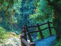 -西岭雪山大飞水景区