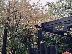 -九龙潭景区