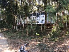 -罗坑大草原