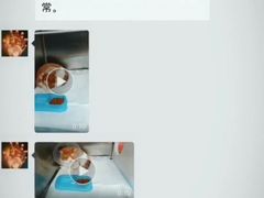 -芭比堂动物医院·犬猫全科·异宠专科(雁塔分院)