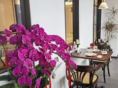 -餮熹Tipsea法餐(吉大店)