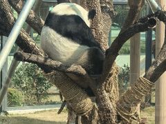 -无锡动物园·太湖欢乐园