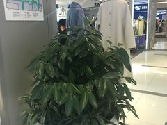 -远洋未来广场(育慧北路店)