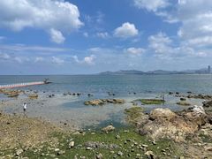 -养马岛旅游度假区