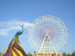 -七彩云南欢乐世界