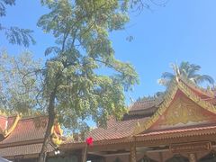 -西双版纳傣族园