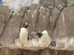 -成都浩海立方海洋公园