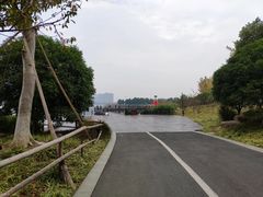-桐乡凤凰湖
