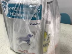-睿金宠物医院·CT·肿瘤·骨外科