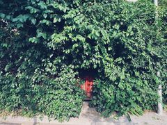 咖啡厅小门-斯多格书乡(北京大学畅春园店)