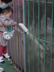 -萌宠亲子动物乐园(槐房万达店)