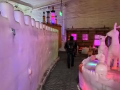 -白鹿仓冰雪海洋世界