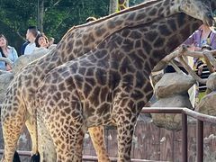 -金银湖市民文体活动中心恒温游泳馆