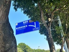 -滨海公园