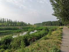 -东郊湿地公园