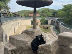 -石家庄市动物园