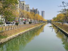 -万江图书馆