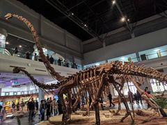 -自贡恐龙博物馆
