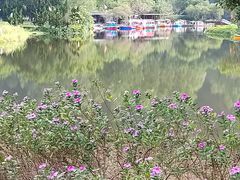 -南沙蒲洲花园
