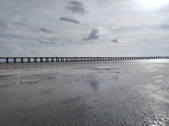 -宝安西湾红树林湿地公园