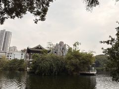 -荔湾湖公园