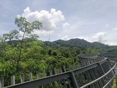 -福道