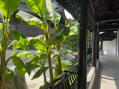 -月栖华明-云间草堂清茶馆(泗泾古镇店)