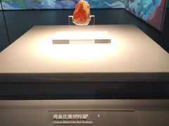 -北京大葆台遗址博物馆