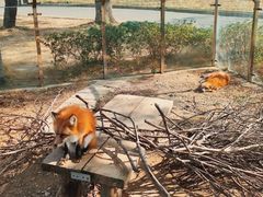 -无锡动物园·太湖欢乐园