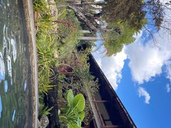 -昆明柏联SPA温泉