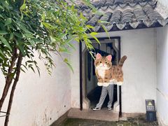 -常熟方塔园
