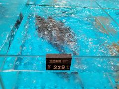 -艳阳天·非遗楚菜(武汉客厅店)