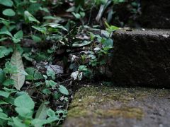 -方岩风景区