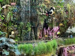 -正佳雨林生态植物园