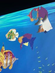 -超级奈尔宝SUPER NEOBIO(杭州星光店)