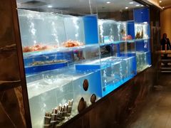 -德米火锅(深圳湾1号旗舰店)