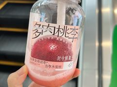 多肉桃李-喜茶(深圳东门1234店)