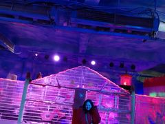 -芜湖新华联大白鲸海洋公园