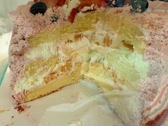 -维尔纳斯·生日蛋糕·动物奶油冰淇淋蛋糕(六里桥店)
