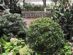 -T館·花园艺术餐厅