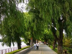 -长春市南湖公园