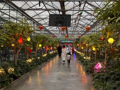 -南宫五洲植物乐园