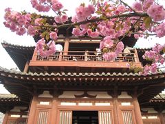 -西安青龙寺遗址景区