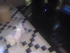 -乐潮汇时尚量贩式KTV(嘉业国际城购物中心店)