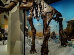 -国家自然博物馆