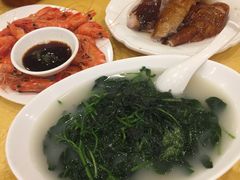 -鸿达渔港