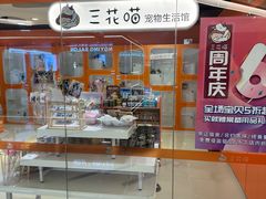 -三花喵·撸猫购宠·宠物生活馆(虹桥南丰城店)