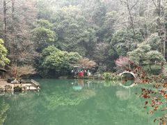 -灵栖洞天