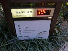 -天目湖涵田半山温泉